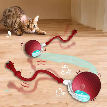 HiperPati CatchMe™